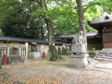 画像41